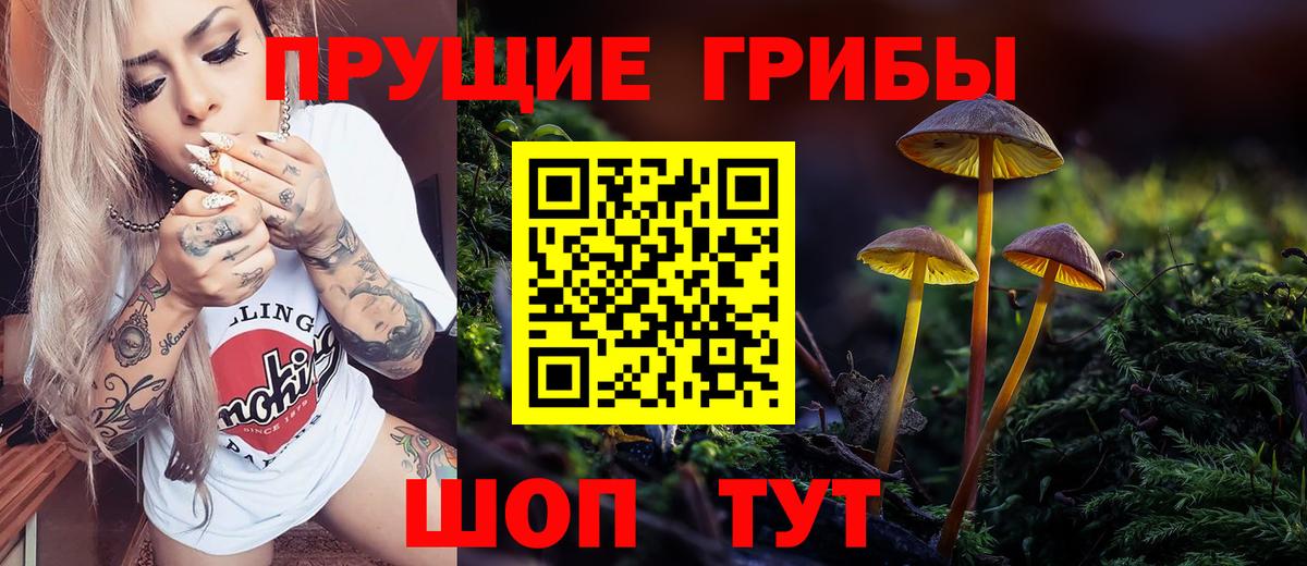 Псилоцибиновые грибы Magic Shrooms Чайковский
