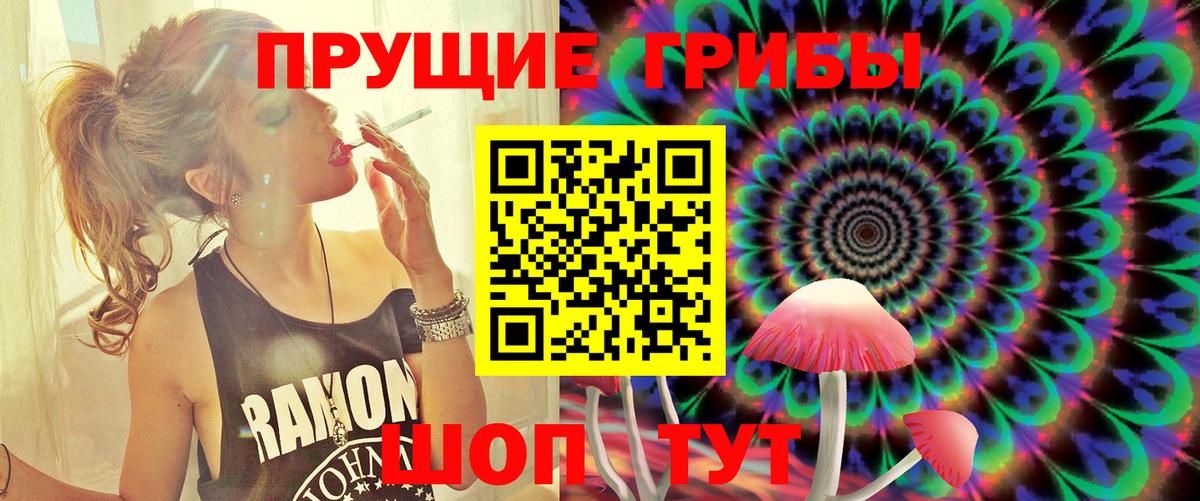 Чайковский  сколько стоит  Вход с VPN  Псилоцибиновые грибы мицелий 