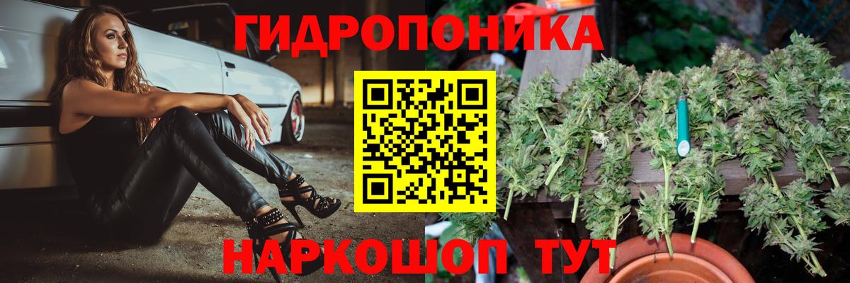 МАРИХУАНА конопля Чайковский